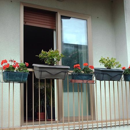 Guest House Cuore Del Friuli อูดิเน ภายนอก รูปภาพ