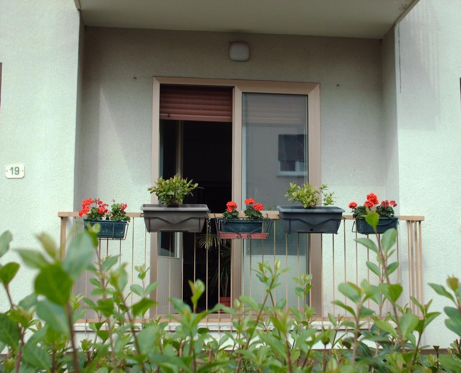 Guest House Cuore Del Friuli อูดิเน ภายนอก รูปภาพ