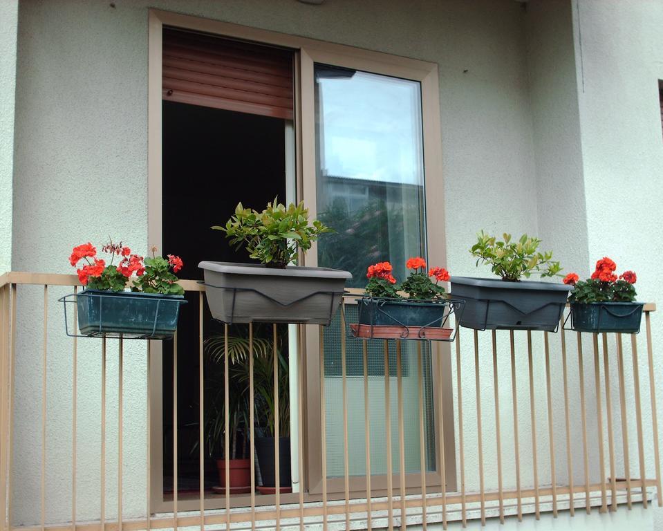 Guest House Cuore Del Friuli อูดิเน ภายนอก รูปภาพ